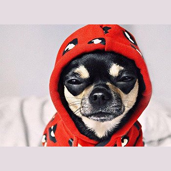 VER SUDADERAS SUDADERAS