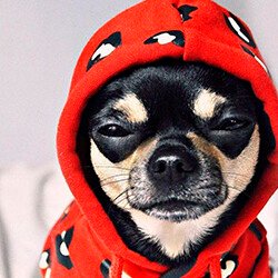 VER SUDADERAS SUDADERAS